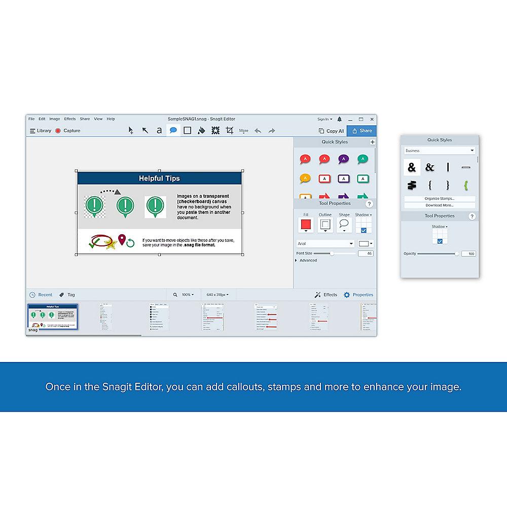 TechSmith SnagIt 13 5-9 User Mac/Win Lizenz