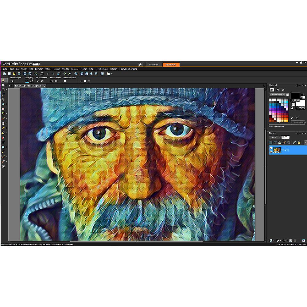 Corel PaintShop Pro 2019 - 1 User DE MiniBox