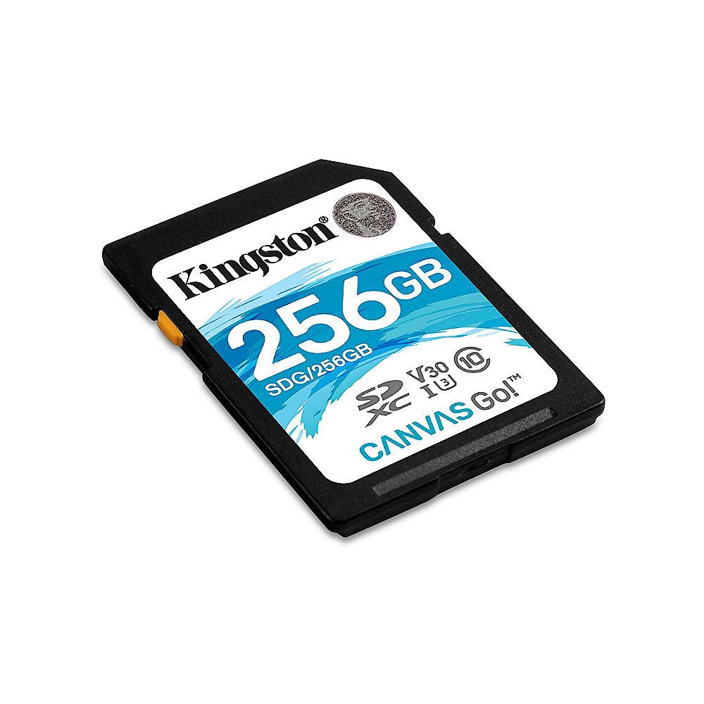 Kingston Canvas Go! 256 GB SDXC Speicherkarte (45 MB/s, Class 10, V30, UHS-I)