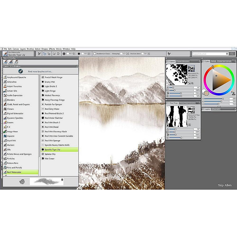 Corel Painter Maintenance 2 Jahre, 5-50 User (CTL)