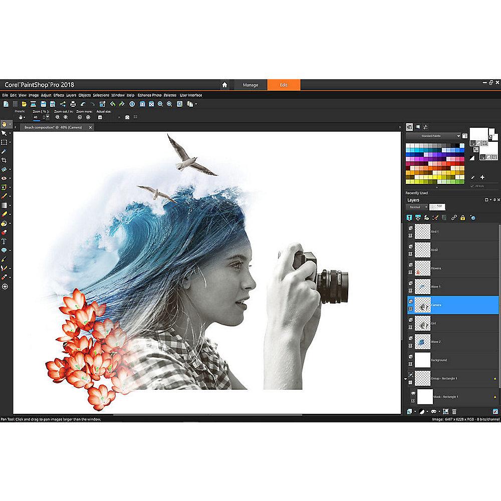 COREL PaintShop Pro 2018 (ML) MiniBox, COREL, PaintShop, Pro, 2018, ML, MiniBox