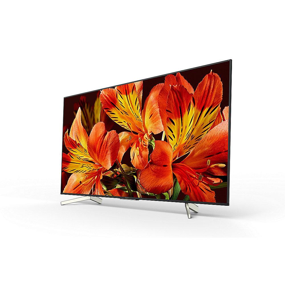 SONY Bravia KD65XF8505 164cm 65