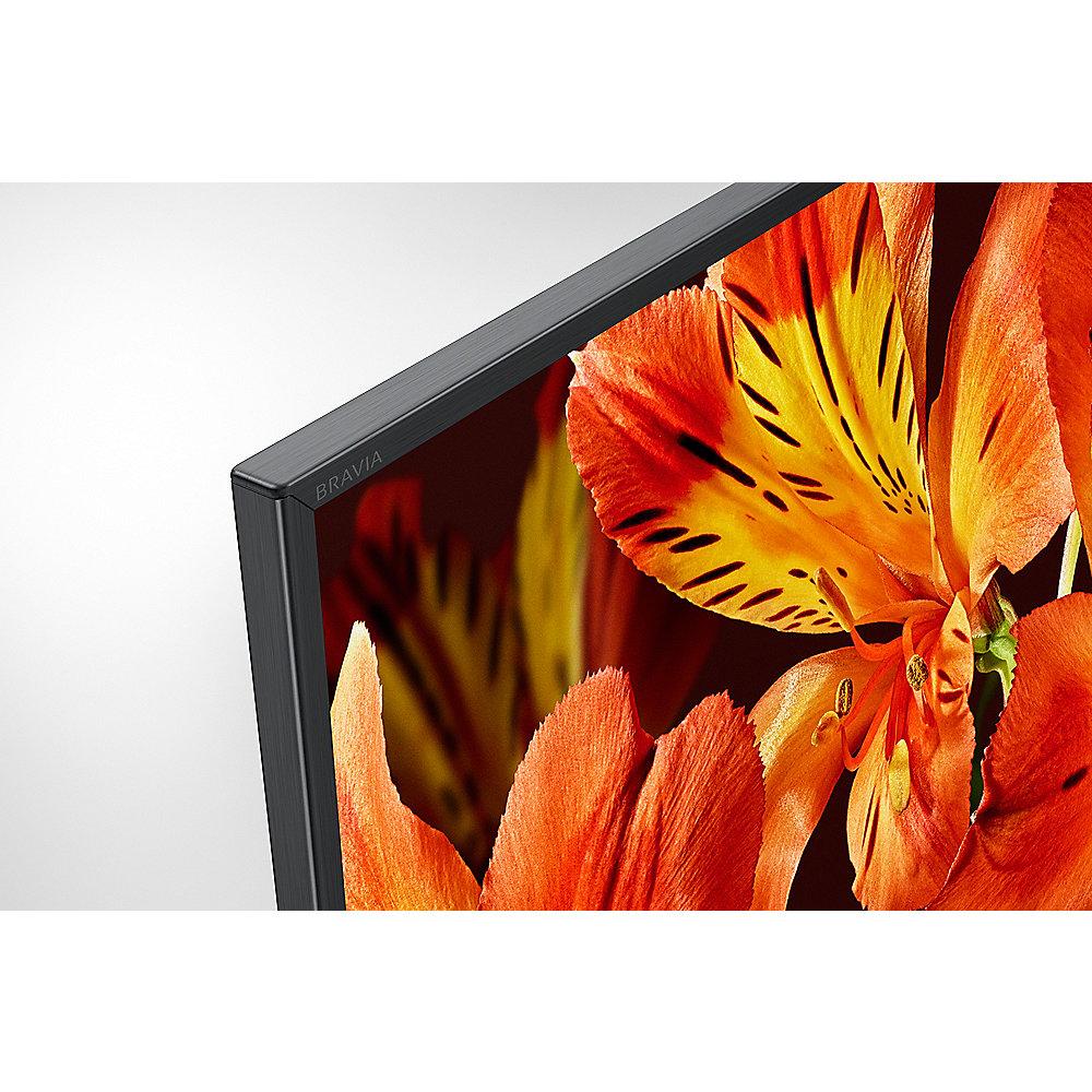 SONY Bravia KD65XF8505 164cm 65