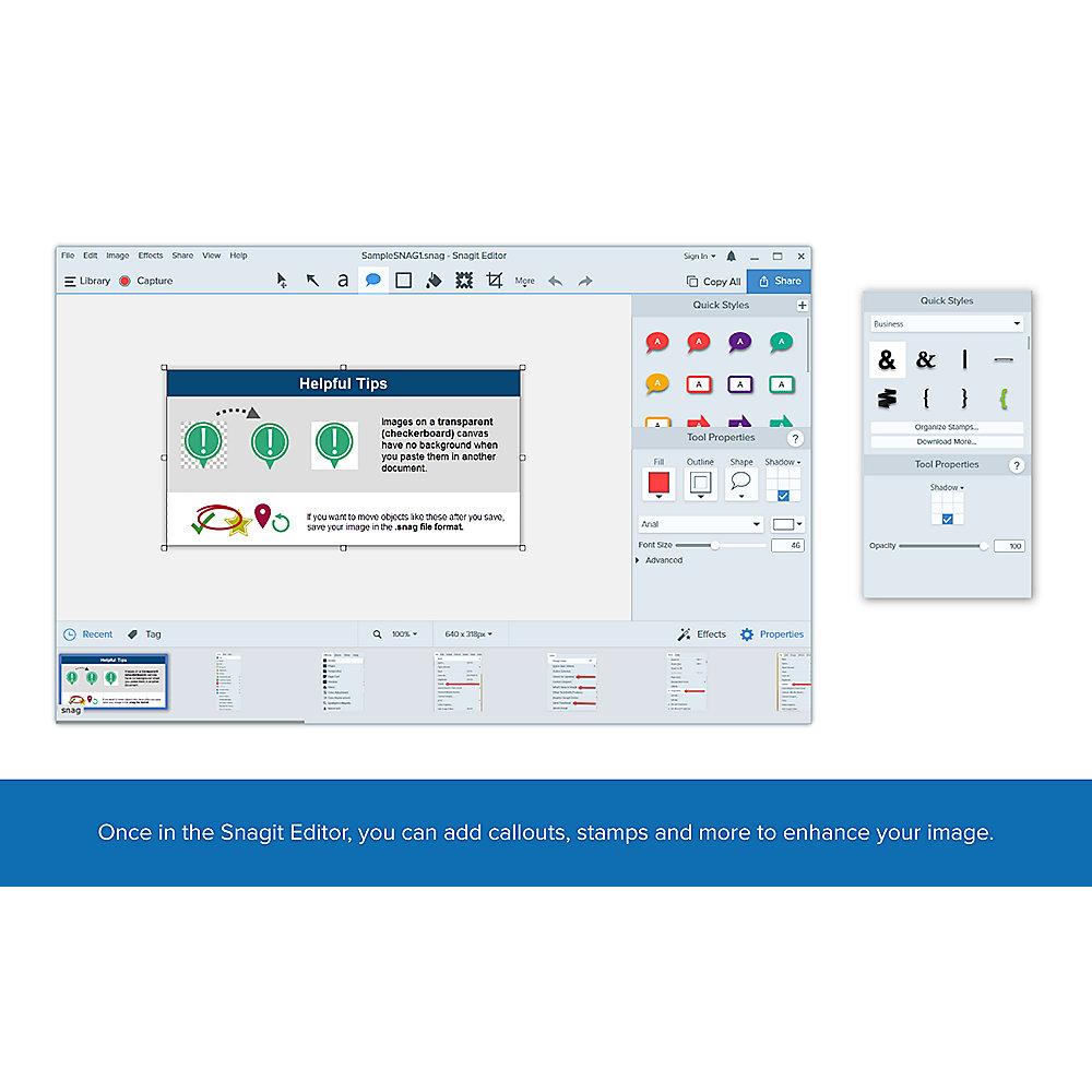 TechSmith SnagIt 13 10-24 User Upgrade Mac/Win Lizenz Promo   Maintenance