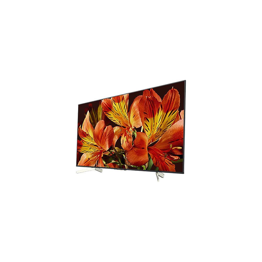 SONY Bravia KD49XF8505 123cm 49