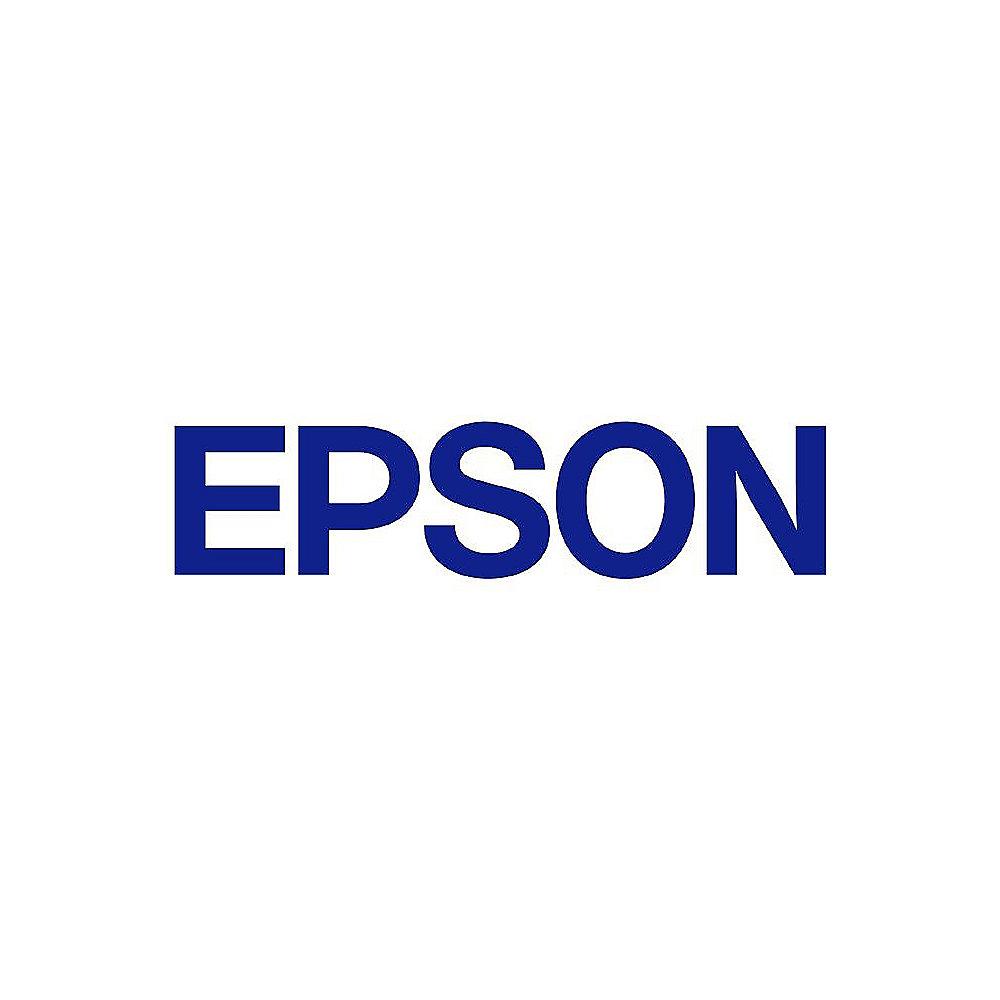 Epson C13T636500 Druckerpatrone helles cyan T6365