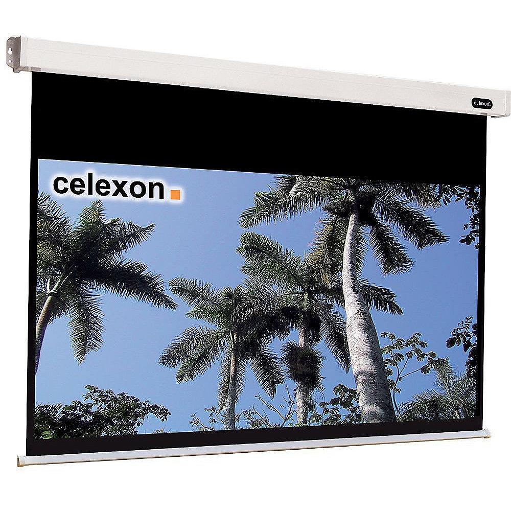 Celexon Motor Professional-Leinwand 280 x 210cm 4:3