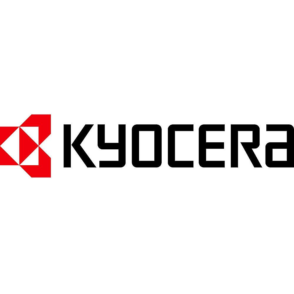 Kyocera DV-130 Entwickler-Kit FS-1300 schwarz, Kyocera, DV-130, Entwickler-Kit, FS-1300, schwarz
