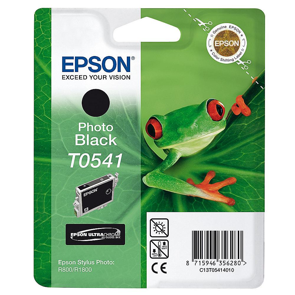 Epson C13T05414010 Druckerpatrone T0541 pigmentiertes Fotoschwarz